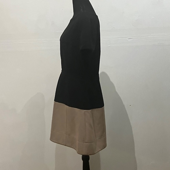 BCBG Black/Tan Colorblock Shift Dress - Picture 8 of 14